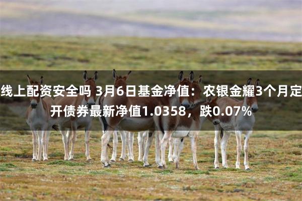 线上配资安全吗 3月6日基金净值：农银金耀3个月定开债券最新净值1.0358，跌0.07%