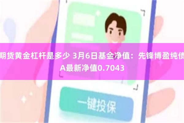 期货黄金杠杆是多少 3月6日基金净值：先锋博盈纯债A最新净值0.7043