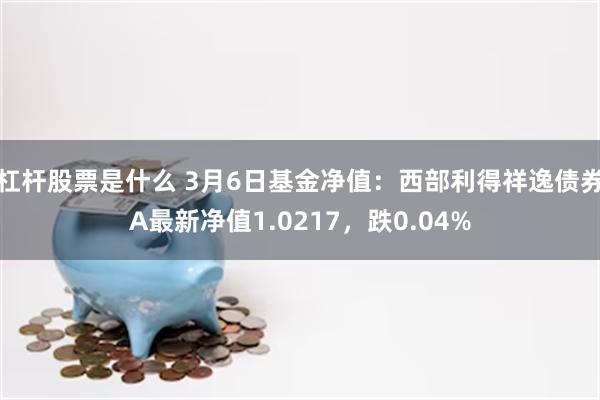 杠杆股票是什么 3月6日基金净值：西部利得祥逸债券A最新净值1.0217，跌0.04%