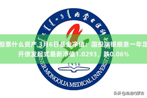 股票什么资产 3月6日基金净值：国投瑞银顺意一年定开债发起式最新净值1.0293，跌0.06%