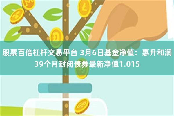 股票百倍杠杆交易平台 3月6日基金净值：惠升和润39个月封闭债券最新净值1.015