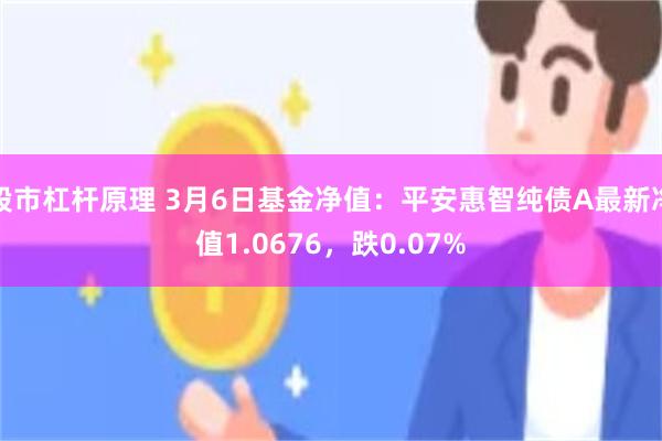 股市杠杆原理 3月6日基金净值：平安惠智纯债A最新净值1.0676，跌0.07%