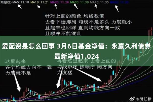 爱配资是怎么回事 3月6日基金净值：永赢久利债券最新净值1.024