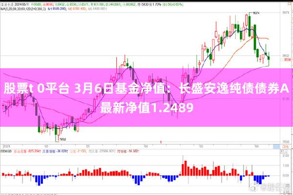 股票t 0平台 3月6日基金净值：长盛安逸纯债债券A最新净值1.2489