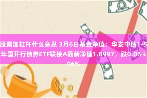 股票加杠杆什么意思 3月6日基金净值：华安中债1-5年国开行债券ETF联接A最新净值1.0997，跌0.06%