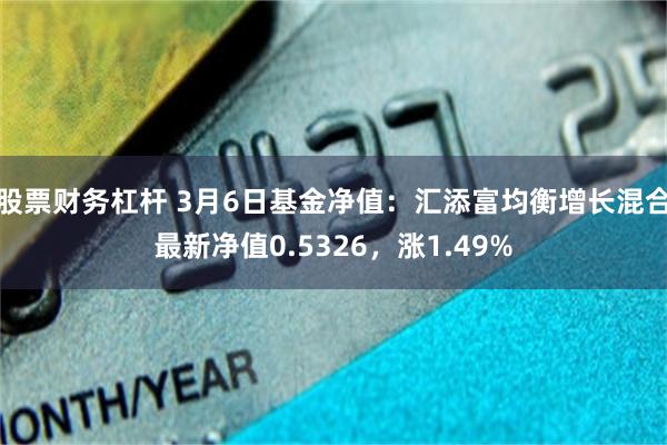 股票财务杠杆 3月6日基金净值：汇添富均衡增长混合最新净值0.5326，涨1.49%