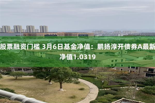 股票融资门槛 3月6日基金净值：鹏扬淳开债券A最新净值1.0319