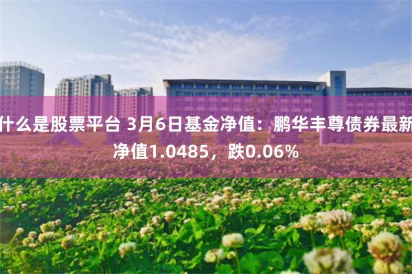 什么是股票平台 3月6日基金净值：鹏华丰尊债券最新净值1.0485，跌0.06%