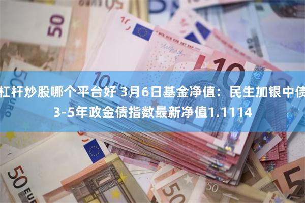 杠杆炒股哪个平台好 3月6日基金净值：民生加银中债3-5年政金债指数最新净值1.1114