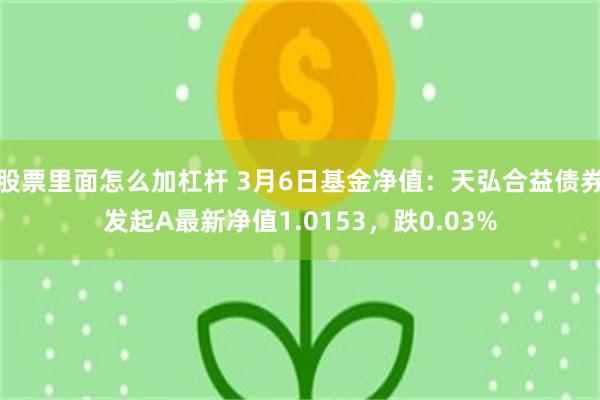 股票里面怎么加杠杆 3月6日基金净值：天弘合益债券发起A最新净值1.0153，跌0.03%