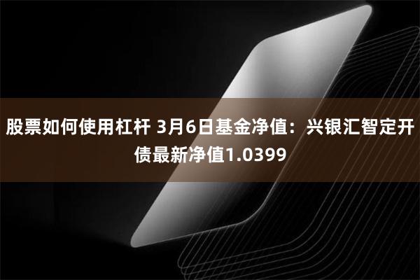 股票如何使用杠杆 3月6日基金净值：兴银汇智定开债最新净值1.0399