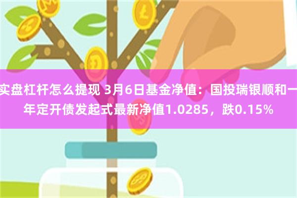 实盘杠杆怎么提现 3月6日基金净值：国投瑞银顺和一年定开债发起式最新净值1.0285，跌0.15%