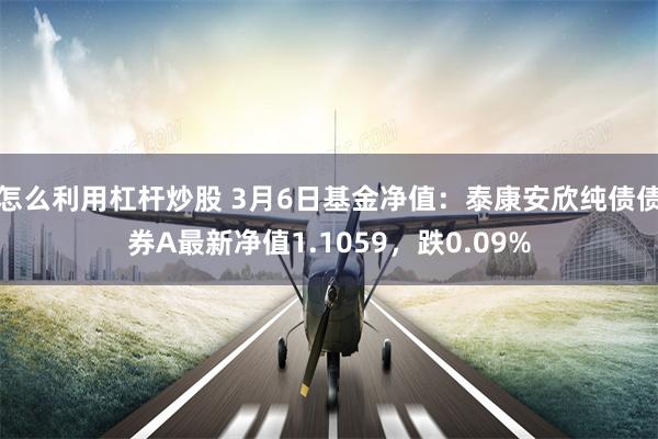 怎么利用杠杆炒股 3月6日基金净值：泰康安欣纯债债券A最新净值1.1059，跌0.09%