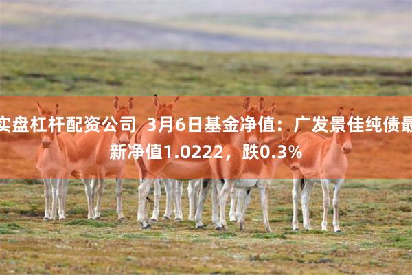 实盘杠杆配资公司  3月6日基金净值：广发景佳纯债最新净值1.0222，跌0.3%