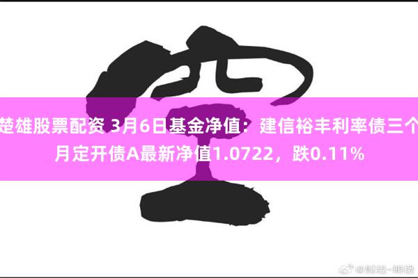 楚雄股票配资 3月6日基金净值：建信裕丰利率债三个月定开债A最新净值1.0722，跌0.11%