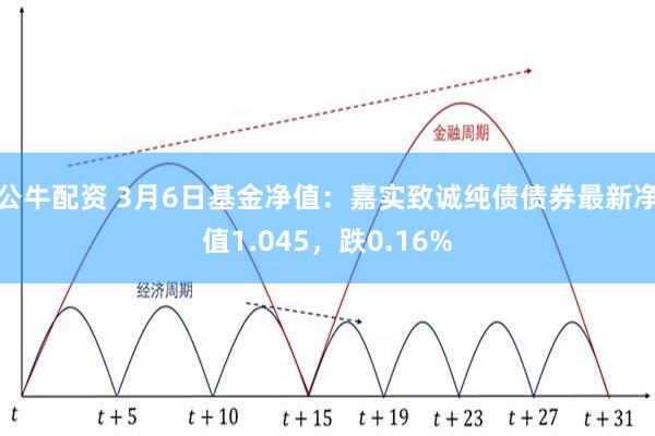 公牛配资 3月6日基金净值：嘉实致诚纯债债券最新净值1.045，跌0.16%