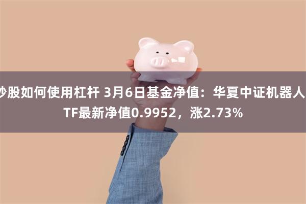 炒股如何使用杠杆 3月6日基金净值：华夏中证机器人ETF最新净值0.9952，涨2.73%