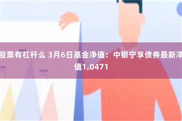 股票有杠杆么 3月6日基金净值：中银宁享债券最新净值1.0471