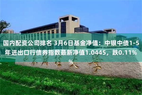 国内配资公司排名 3月6日基金净值：中银中债1-5年进出口行债券指数最新净值1.0445，跌0.11%