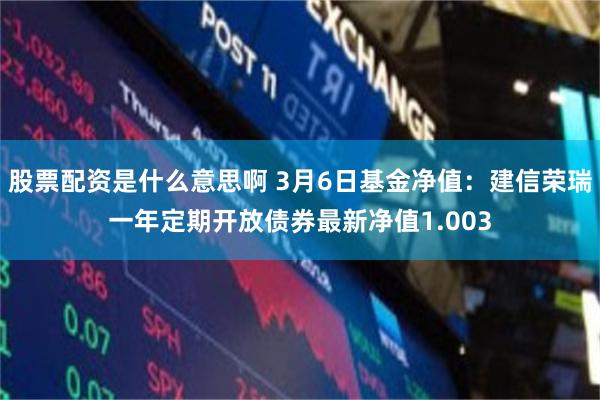 股票配资是什么意思啊 3月6日基金净值：建信荣瑞一年定期开放债券最新净值1.003