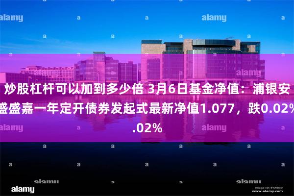 炒股杠杆可以加到多少倍 3月6日基金净值：浦银安盛盛嘉一年定开债券发起式最新净值1.077，跌0.02%