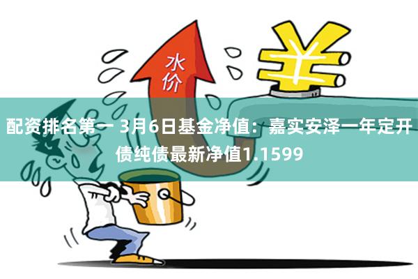 配资排名第一 3月6日基金净值：嘉实安泽一年定开债纯债最新净值1.1599