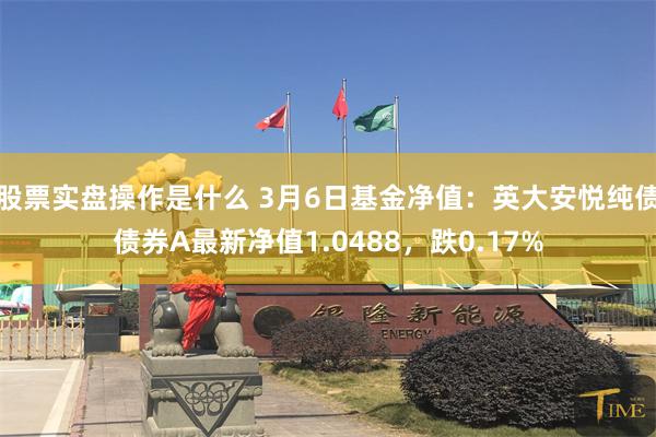 股票实盘操作是什么 3月6日基金净值：英大安悦纯债债券A最新净值1.0488，跌0.17%