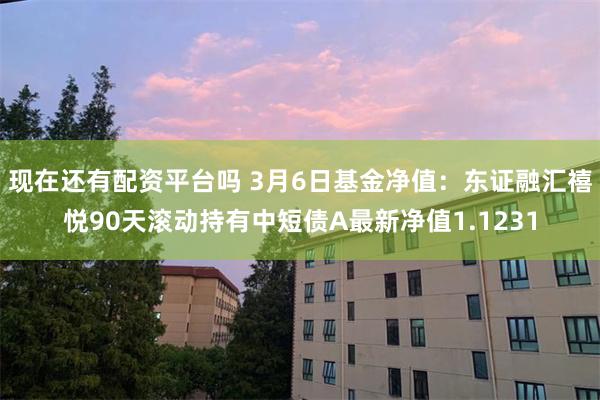 现在还有配资平台吗 3月6日基金净值：东证融汇禧悦90天滚动持有中短债A最新净值1.1231