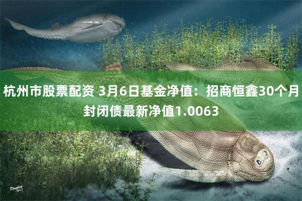 杭州市股票配资 3月6日基金净值：招商恒鑫30个月封闭债最新净值1.0063