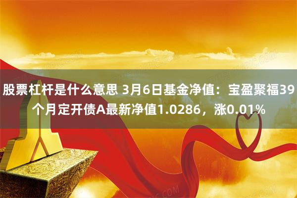 股票杠杆是什么意思 3月6日基金净值：宝盈聚福39个月定开债A最新净值1.0286，涨0.01%