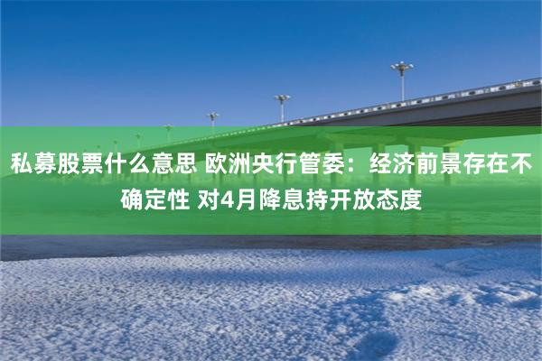 私募股票什么意思 欧洲央行管委：经济前景存在不确定性 对4月降息持开放态度