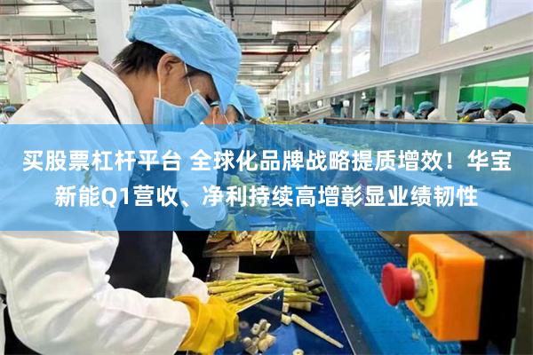 买股票杠杆平台 全球化品牌战略提质增效！华宝新能Q1营收、净利持续高增彰显业绩韧性