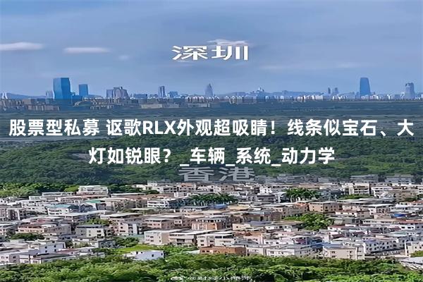 股票型私募 讴歌RLX外观超吸睛！线条似宝石、大灯如锐眼？_车辆_系统_动力学