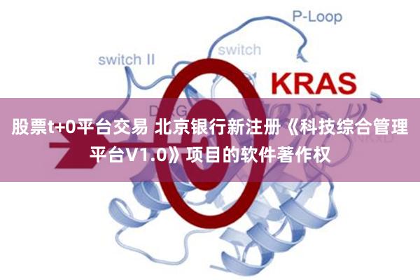 股票t+0平台交易 北京银行新注册《科技综合管理平台V1.0》项目的软件著作权