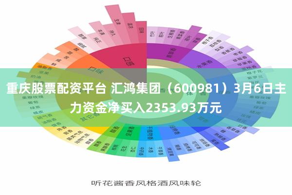重庆股票配资平台 汇鸿集团（600981）3月6日主力资金净买入2353.93万元