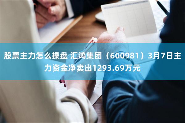 股票主力怎么操盘 汇鸿集团（600981）3月7日主力资金净卖出1293.69万元