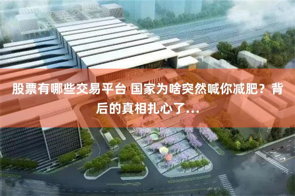 股票有哪些交易平台 国家为啥突然喊你减肥？背后的真相扎心了…